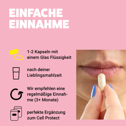Daily Plus